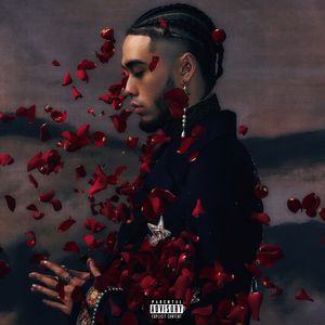 肛门犯罪电影在线观看
