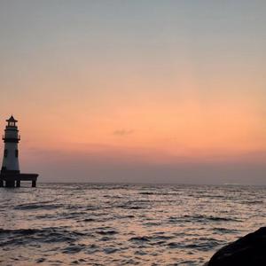 肛门犯罪电影在线观看
